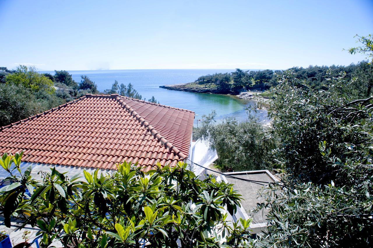 Studios Ntina Aliki  Luaran gambar