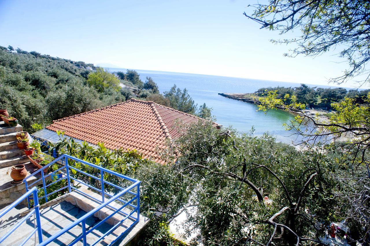 Studios Ntina Aliki  Luaran gambar